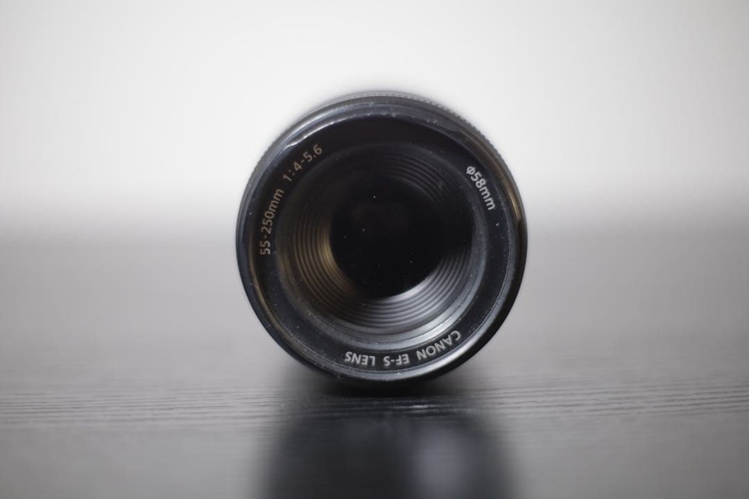 Canon EF-S 55-250mm f4-5.6 ズームレンズ