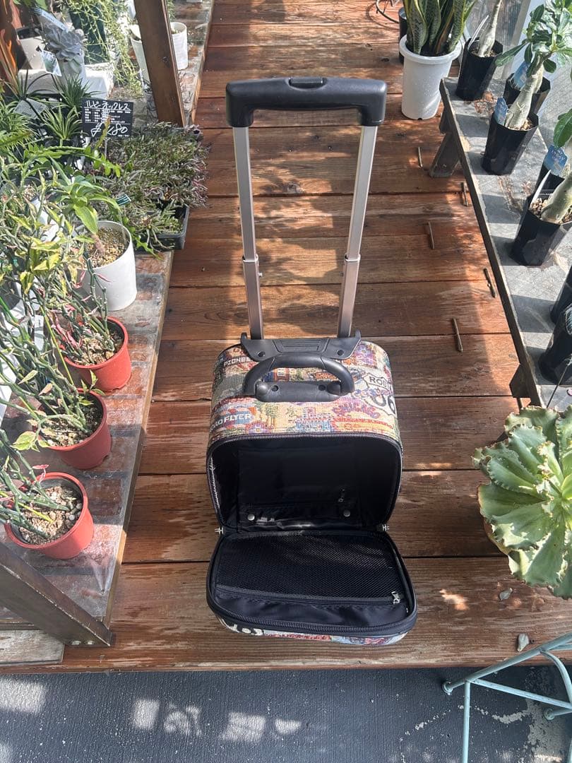 R66 ゴブラン織キャリーケース！