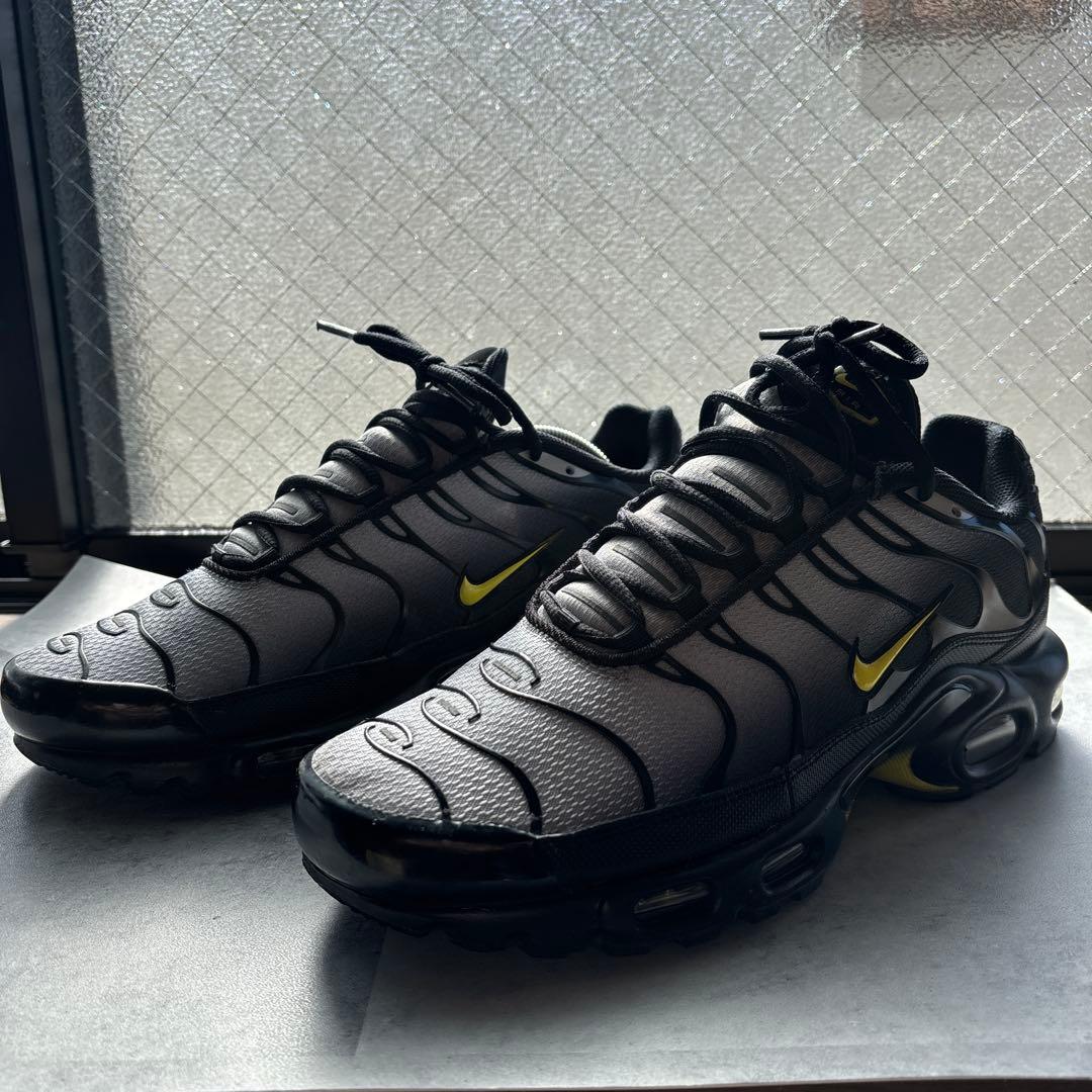 ナイキ　スニーカー　エアマックス　プラス　ウルフグレー　美中古　テック系