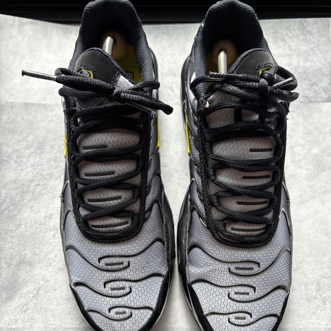 ナイキ　スニーカー　エアマックス　プラス　ウルフグレー　美中古　テック系