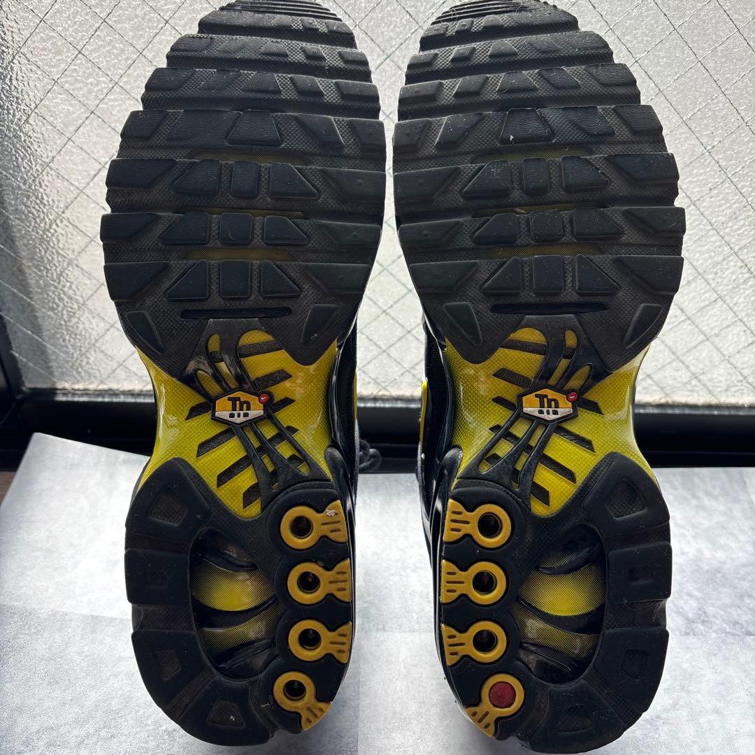 ナイキ　スニーカー　エアマックス　プラス　ウルフグレー　美中古　テック系