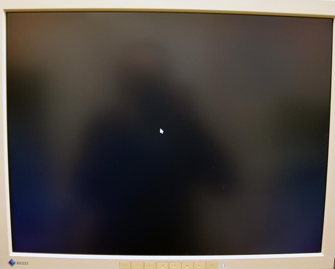 【希少】EIZO FlexScan L997 21.3インチモニター