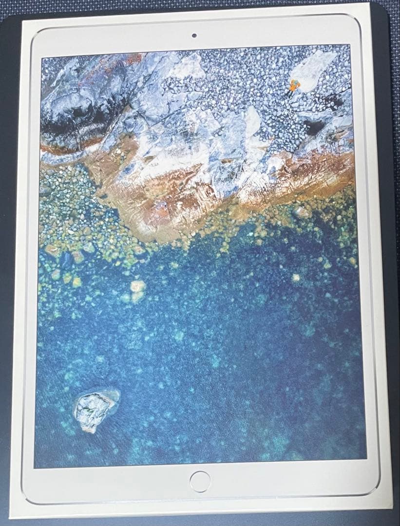 交換品•極美✨iPad Pro 10.5 256GBセルラー版 欠品なし