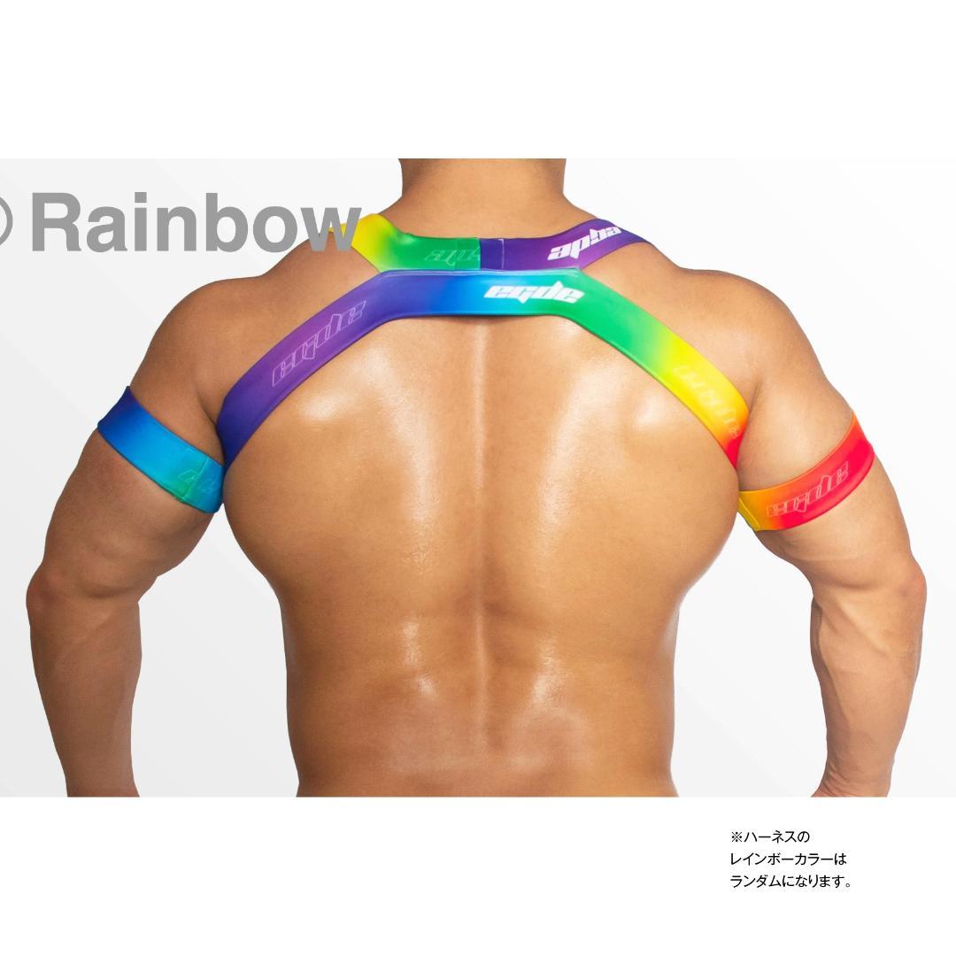 EGDE【XXL！上下セット！】REBOOT RE レインボー ビキニ&ハーネス