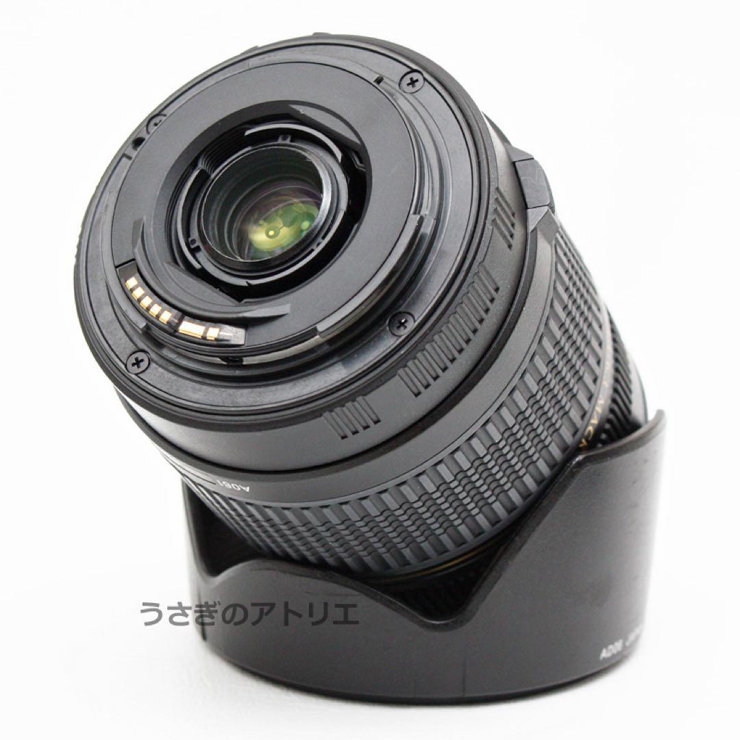 キヤノン用28-300mmズームレンズ⭐️Canon⭐️EOS Kiss⭐️広角〜望遠