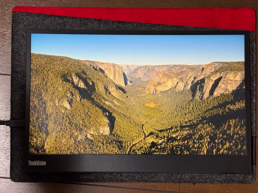 ThinkVision Lenovo M14 ディスプレイ　モニター　レノボ