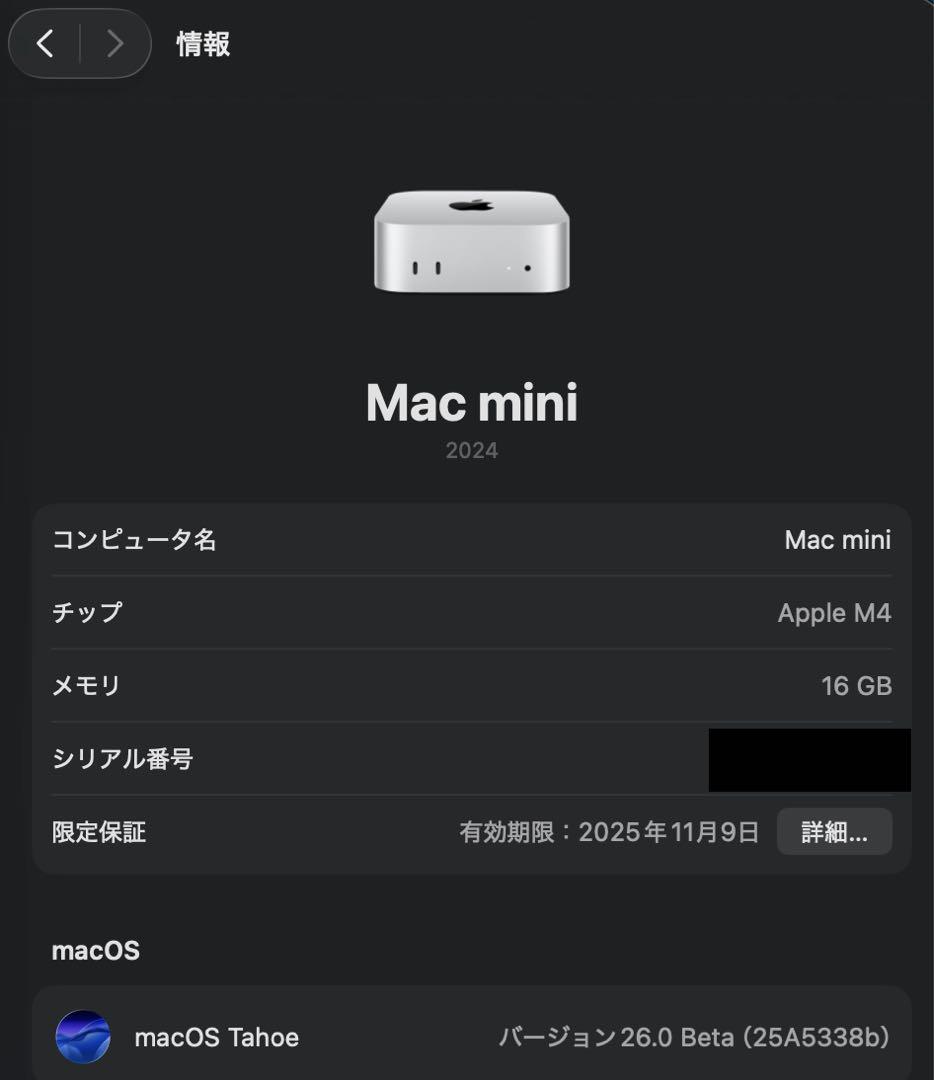 【美品】M4 Mac Mini メモリ16GB SSD 256GB