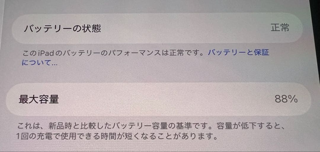 11インチiPad Pro M4 256GB Wi-Fi AppleCare加入