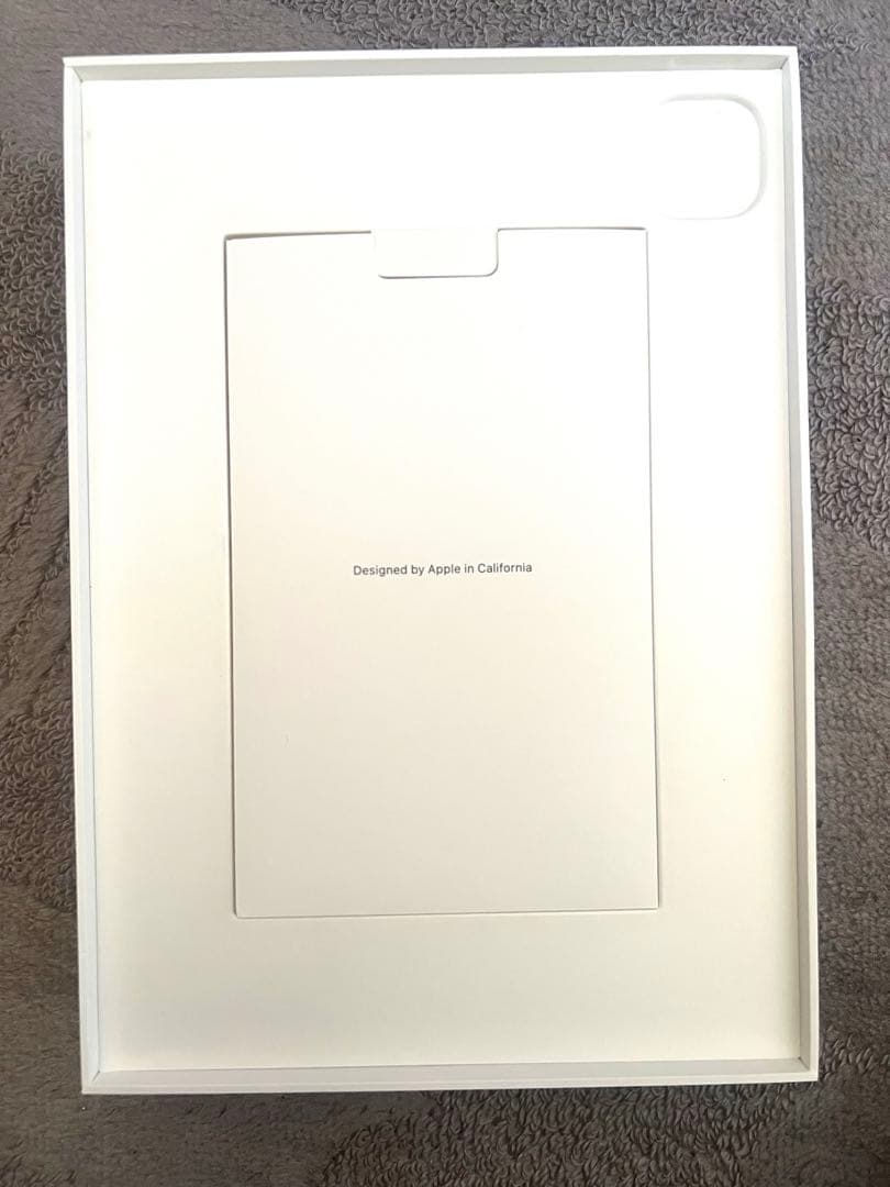 11インチiPad Pro M4 256GB Wi-Fi AppleCare加入