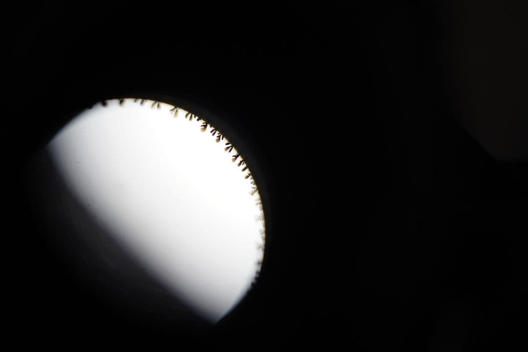 業務用レンズ 放送用レンズ キヤノン Canon J14a×B4 動作品 訳あり