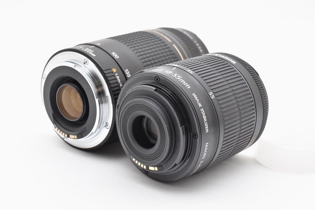 デジタル一眼レフカメラcanon kiss x9 標準&望遠ダブルレンズセット