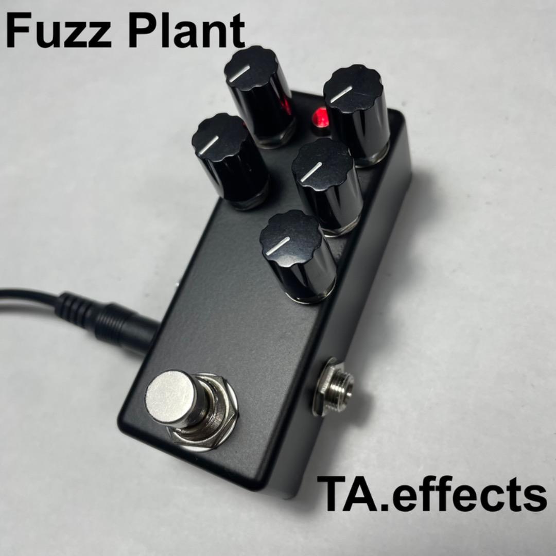 ギター Fuzz Plant TA.effects MATT BLACK