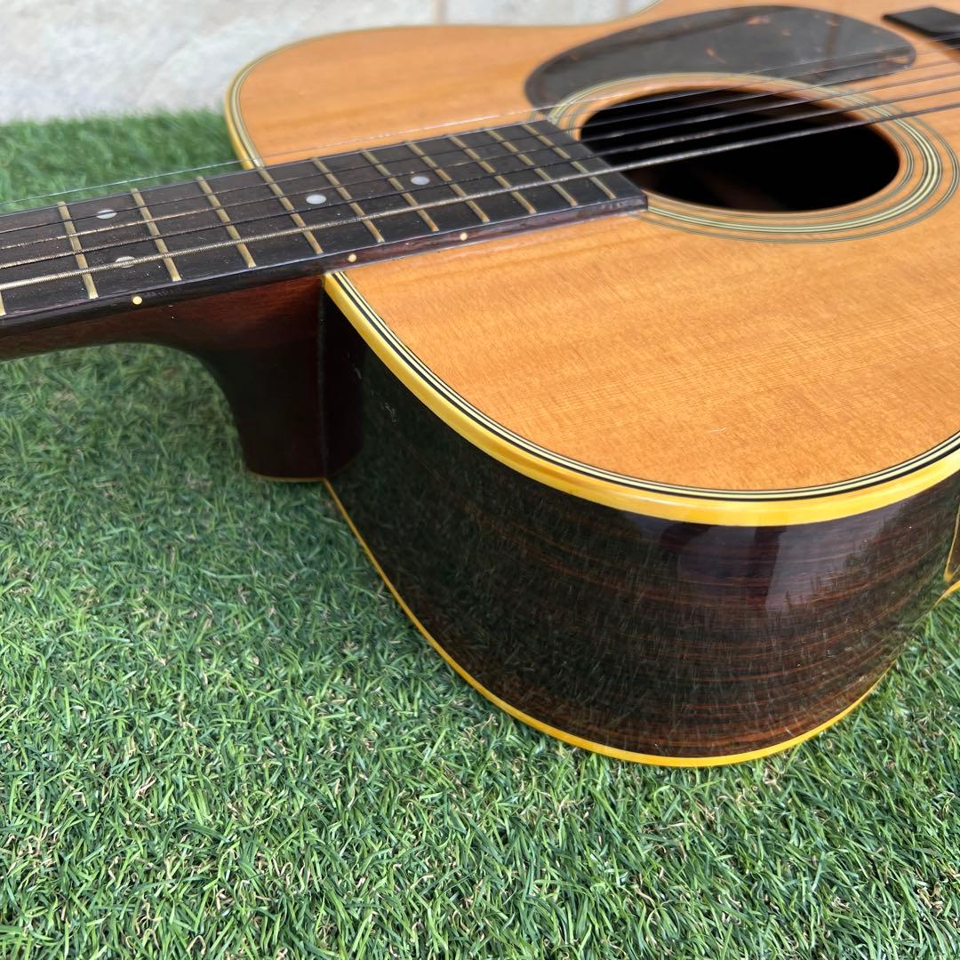 希少TOKAI GAKKI CatsEyes CE-800T 1212680