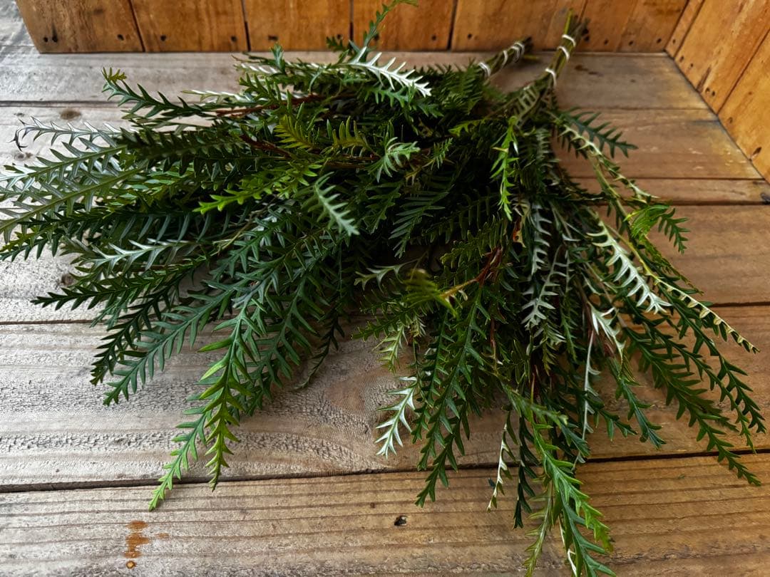 大吉様 リクエスト 3点 まとめ商品