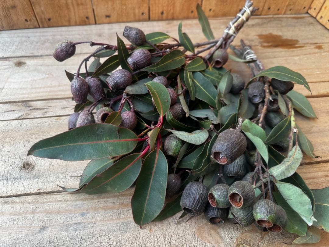 大吉様 リクエスト 3点 まとめ商品