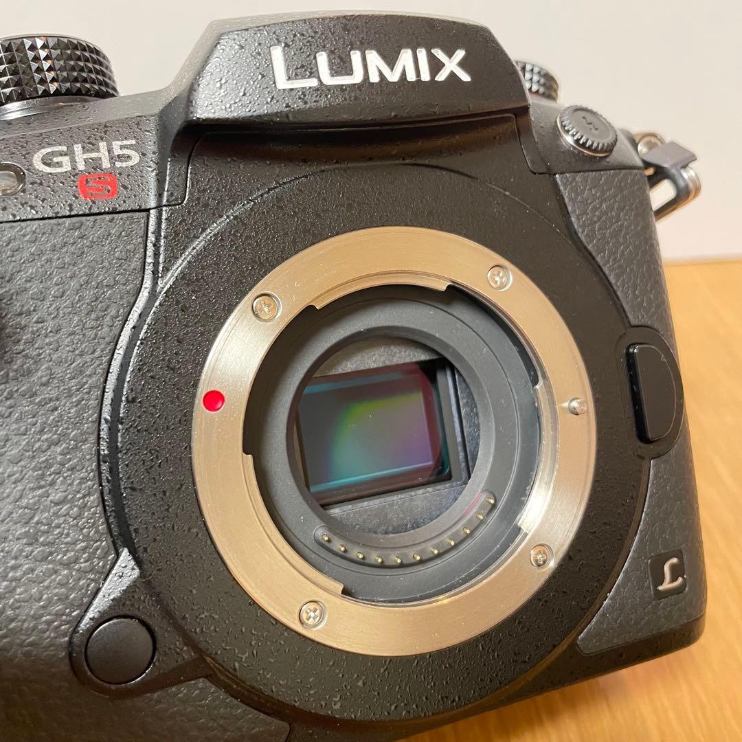専用　　LUMIX DC-GH5S