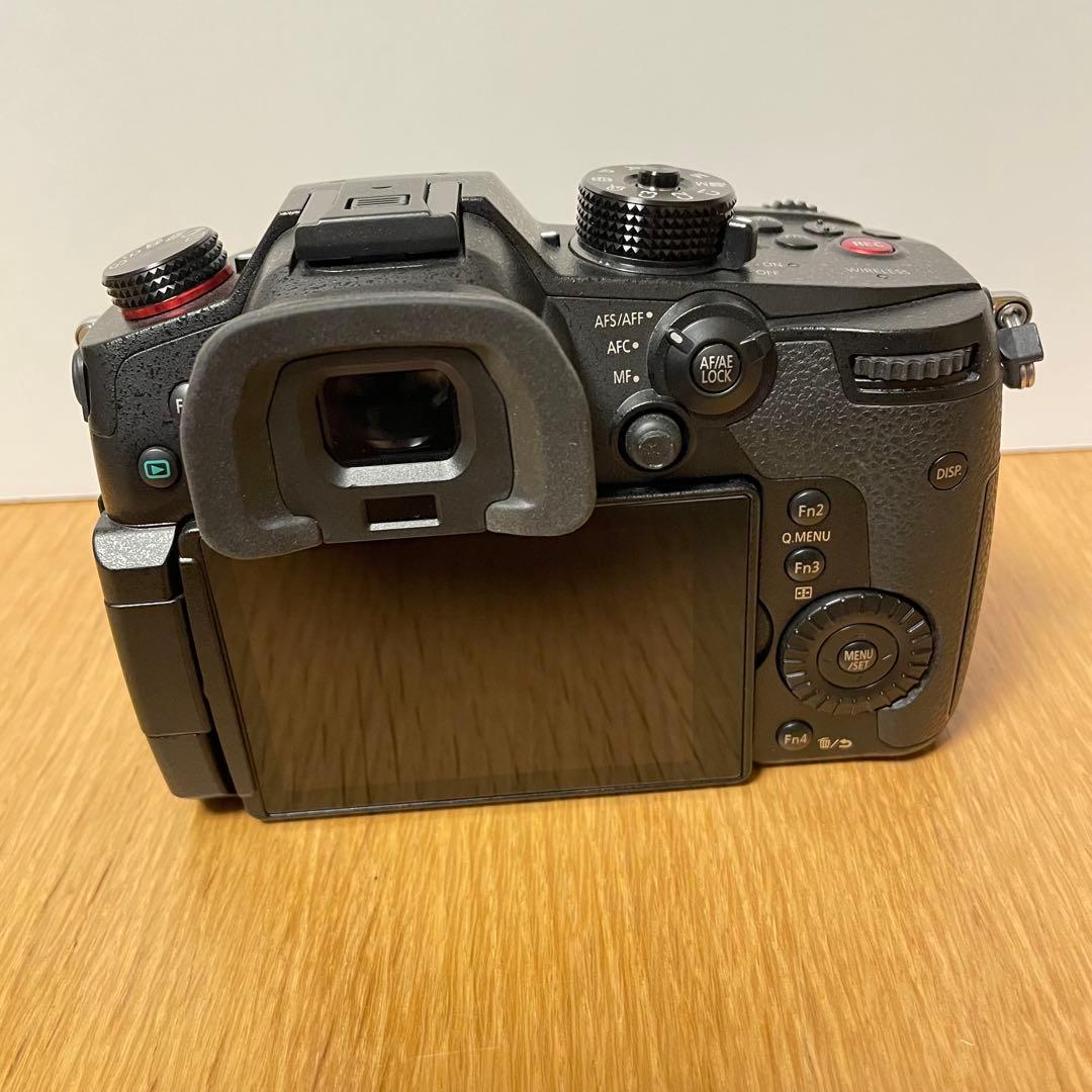 専用　　LUMIX DC-GH5S
