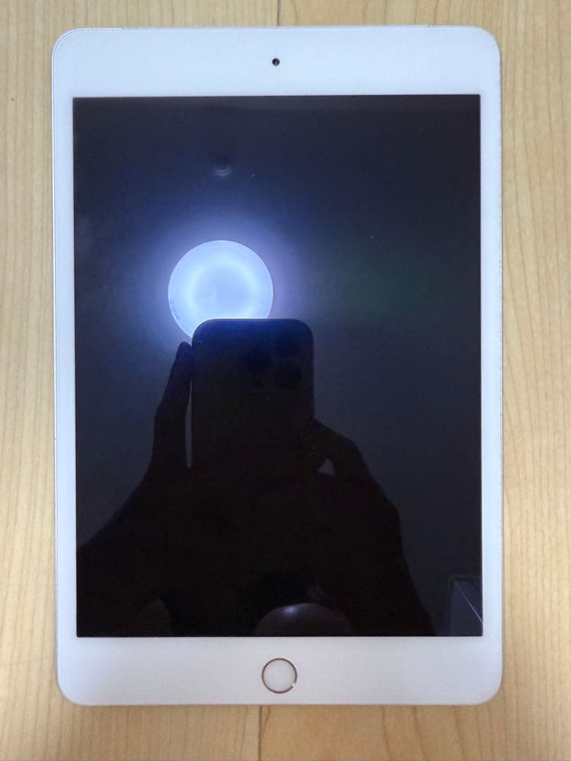 値下げ！Apple iPad mini 4 16GB cellular