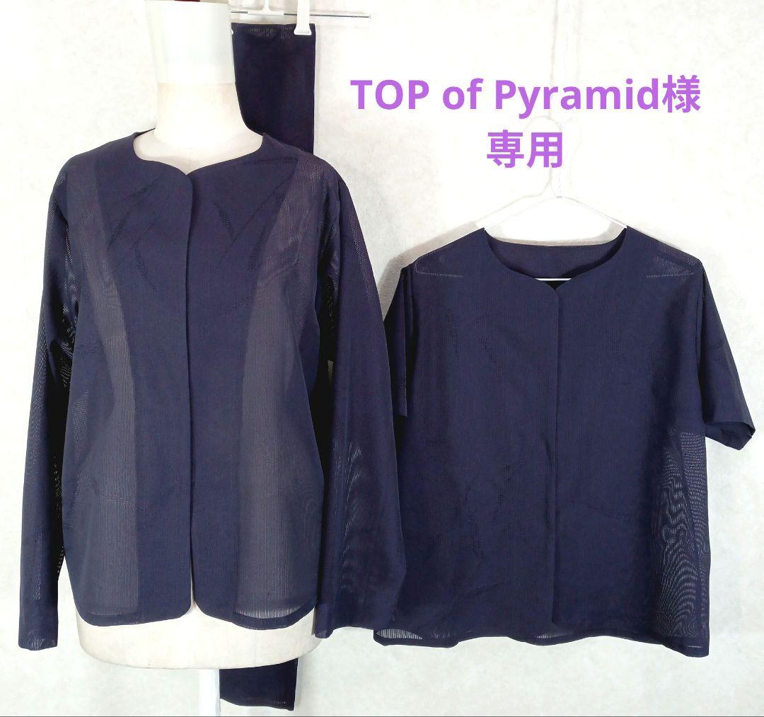 290　TOP of Pyramid