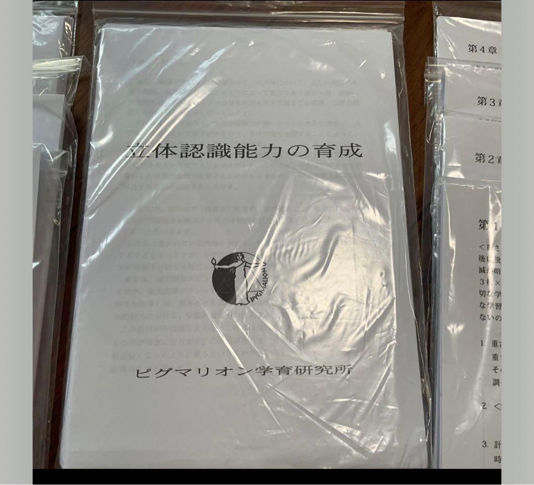 最新　ピグマリオン　1年生　1年間　小1 2024 記入なし　新品　未使用　教育