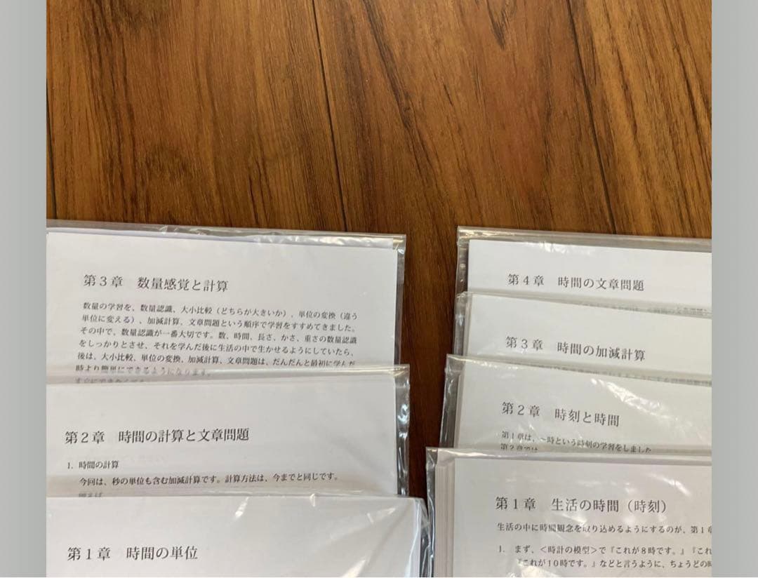 最新　ピグマリオン　1年生　1年間　小1 2024 記入なし　新品　未使用　教育