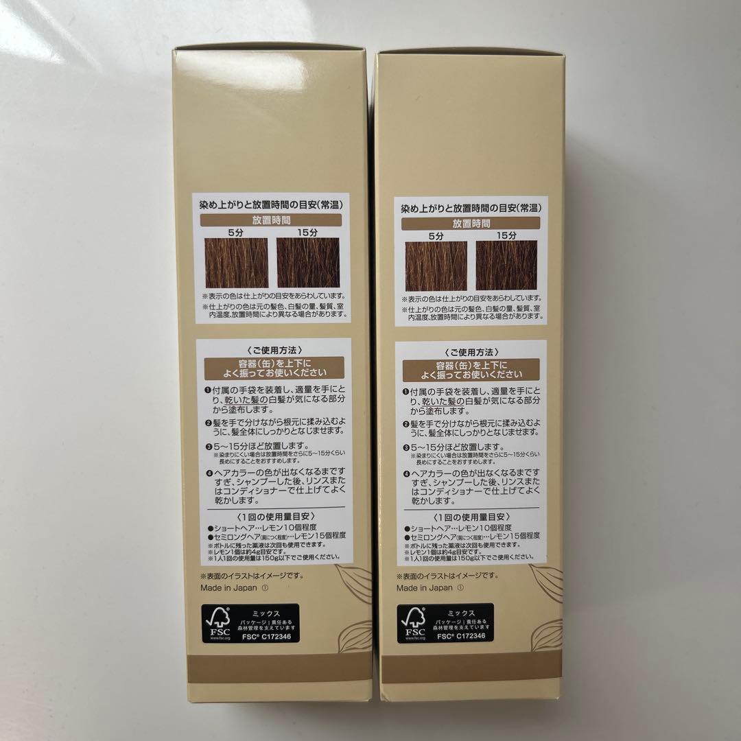 ヘアボーテ　エクラ ボタニカルエアカラーフォームup 150g ２本