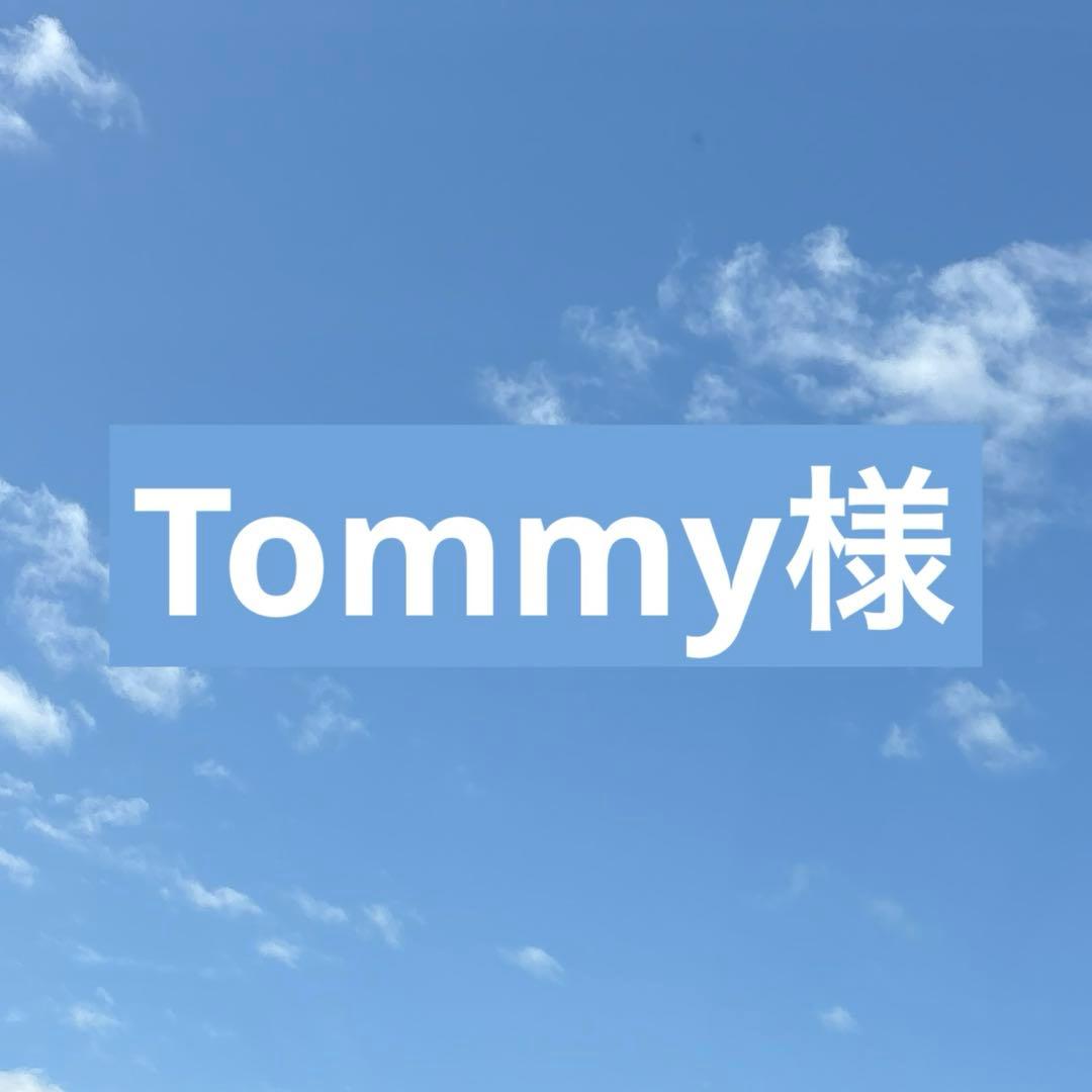 クレンジング・メイク落とし 