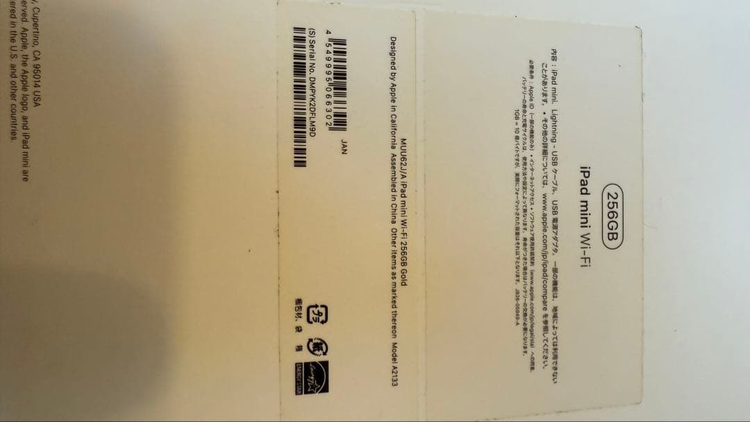 Apple iPad 256GB 5th Gen Gold 本体