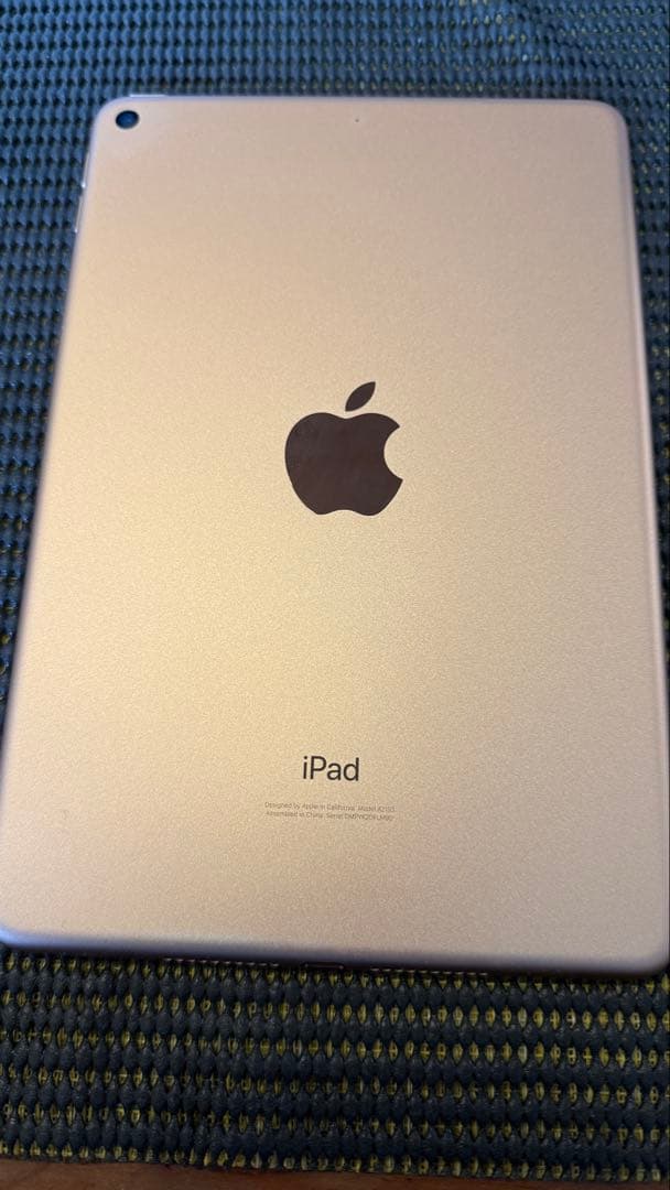 Apple iPad 256GB 5th Gen Gold 本体