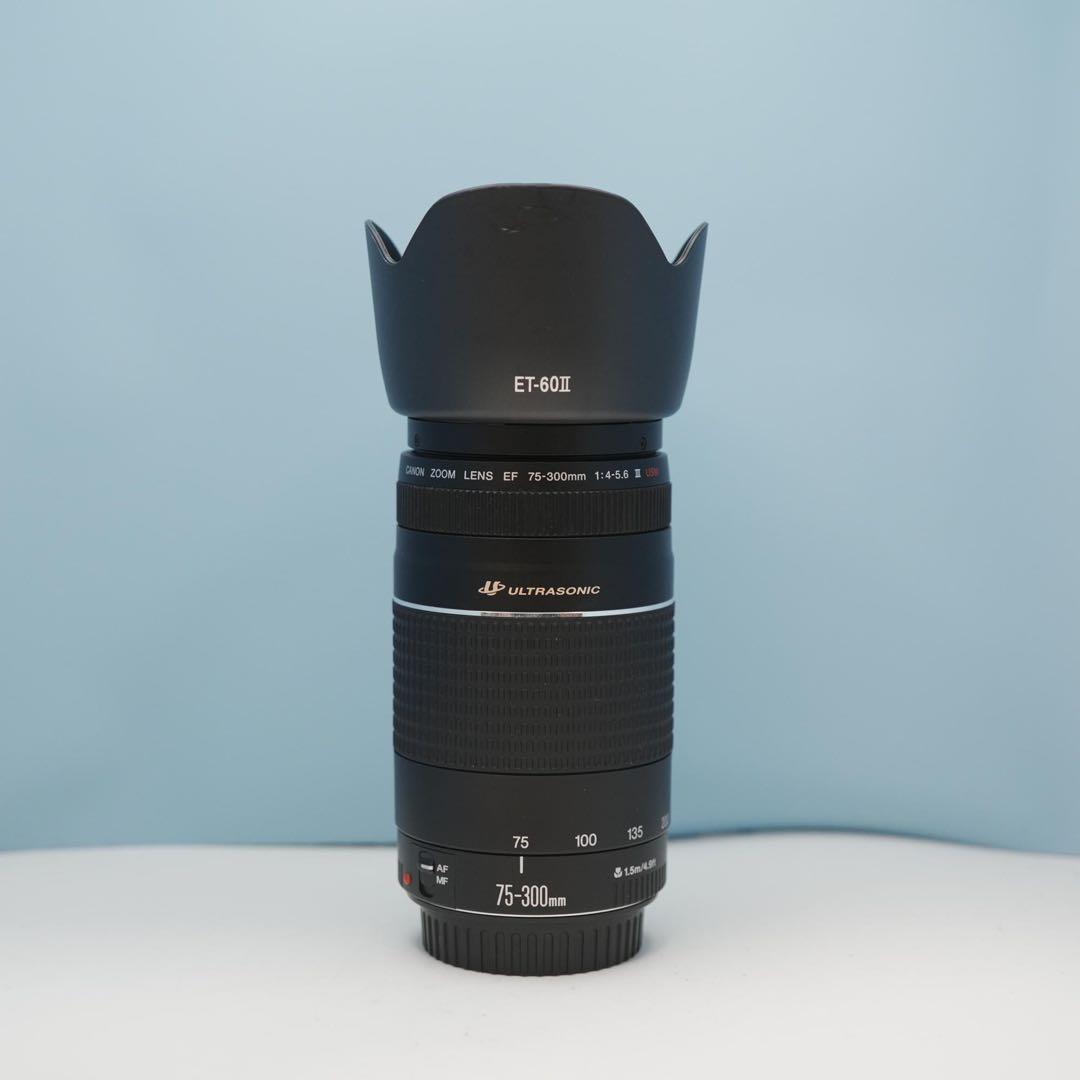 Canon純正 75-300mm 望遠レンズ 美品 a4512