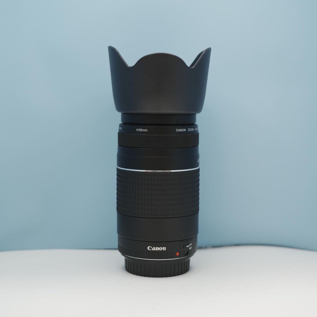 Canon純正 75-300mm 望遠レンズ 美品 a4512