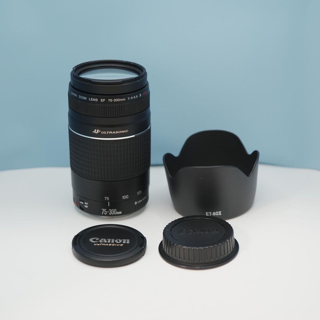 Canon純正 75-300mm 望遠レンズ 美品 a4512