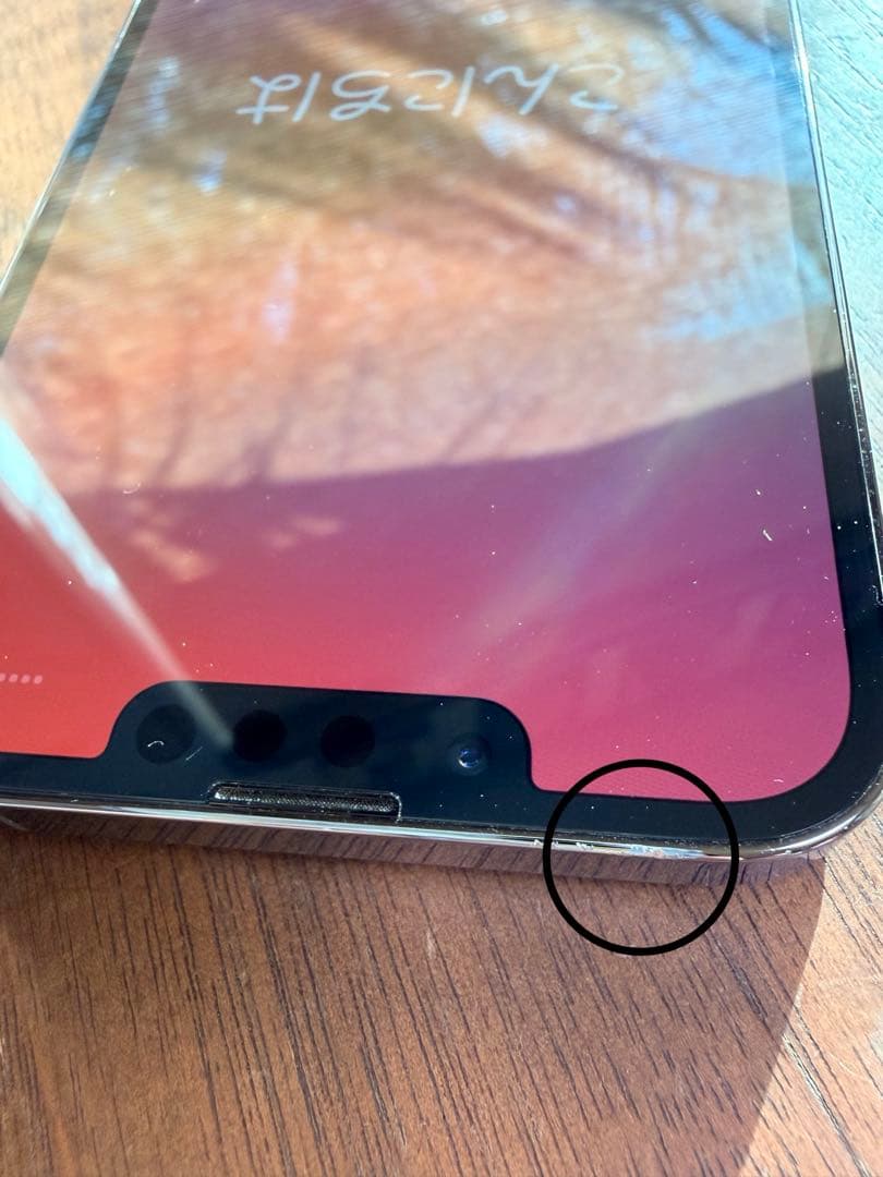 iPhone13 pro 付属品なし本体のみ