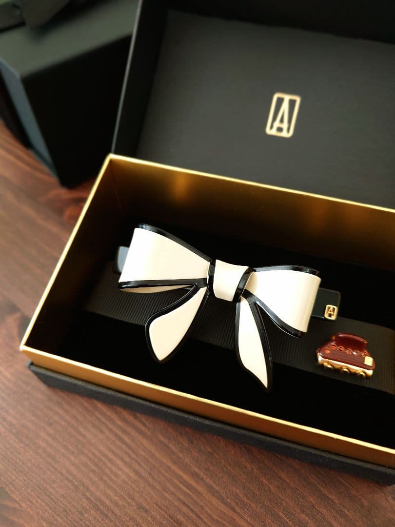 美品 アレクサンドルドゥパリ 2点 リボンバレッタ スワロフスキー ヴァンドーム