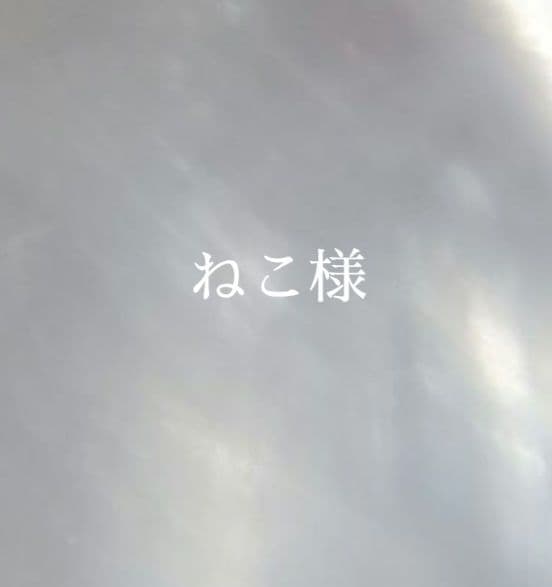 8.ねこ様　オーダー