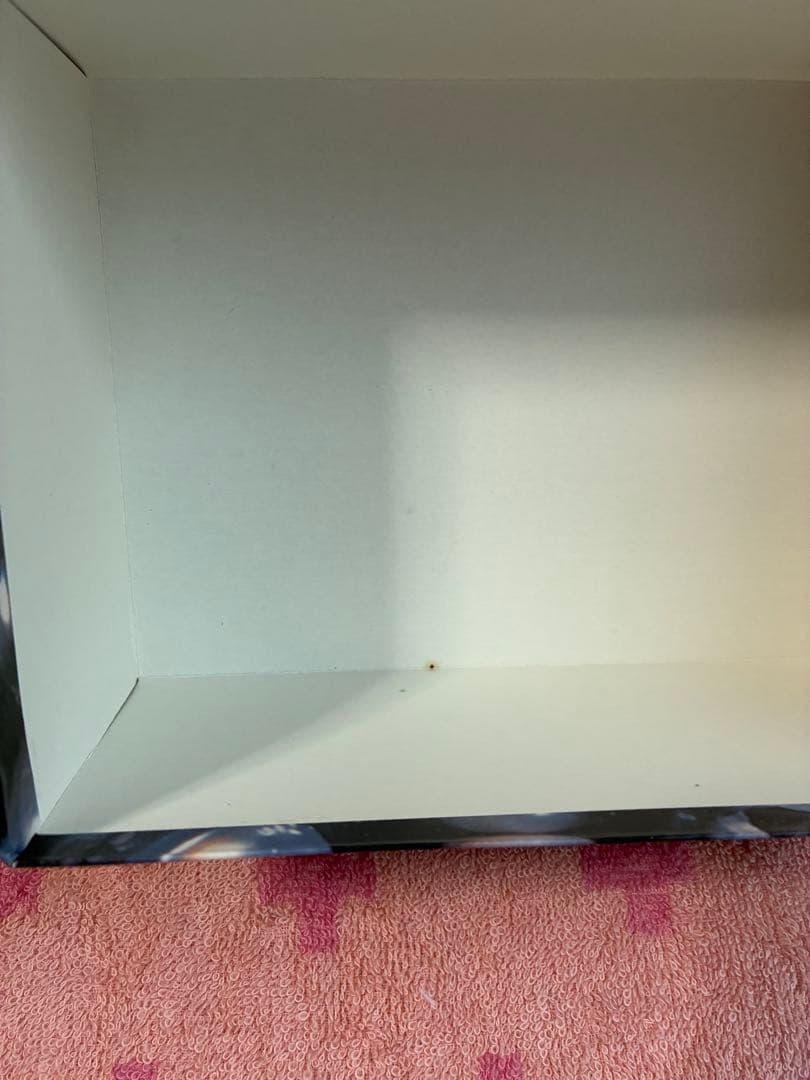 ROLEX レッドレザーケース