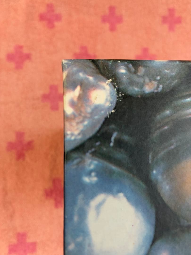 ROLEX レッドレザーケース