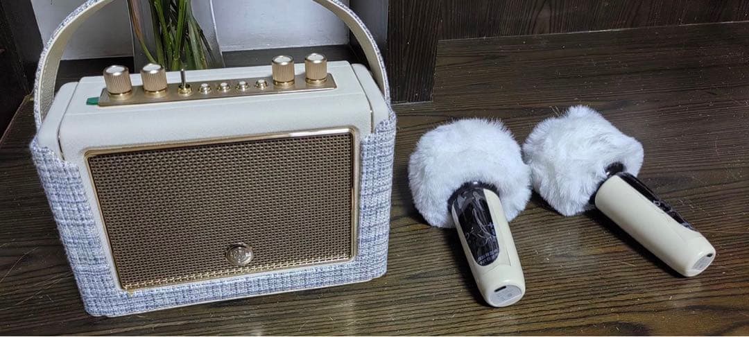 muzen 多機能スピーカー bluetooth マイク2本付き