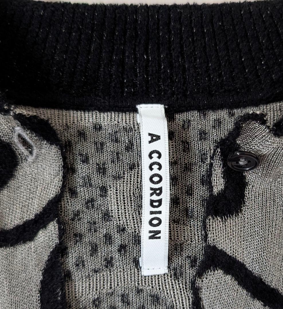 A CCORDION アコーディオン 25年モデル シャイニーウェイヴィーシャツ