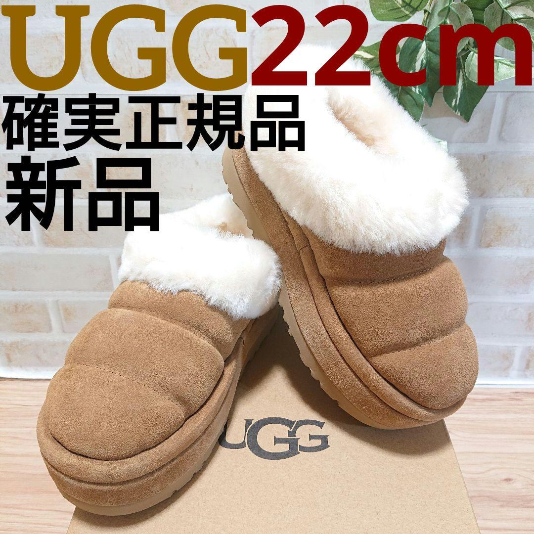 UGG アグ　Tazzlita　タズリータ チェスナット 22cm 厚底 新品