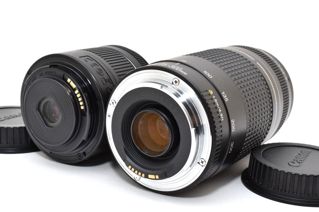 ✨人気機種✨Canon EOS Kiss X9i ダブルレンズ　充実付属品セット