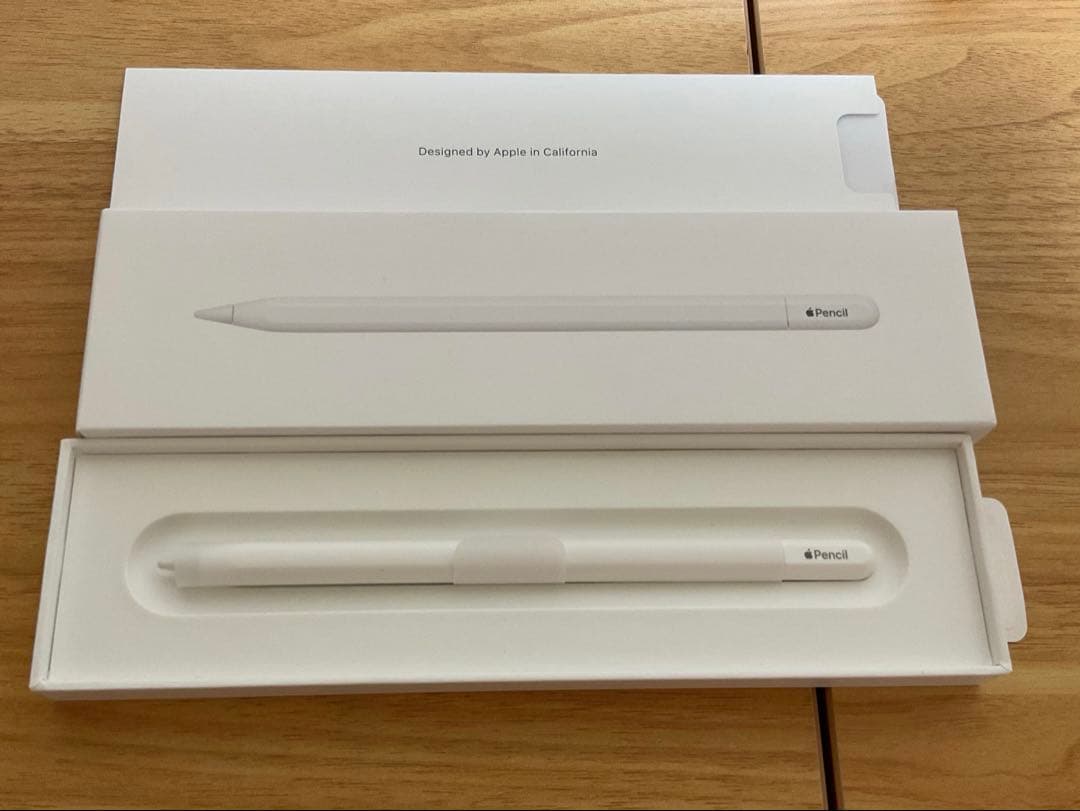 Apple Pencil (USB-C)ホワイト 本体