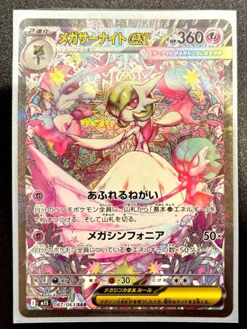 いぬさん専用　　　 メガサーナイトEX SAR