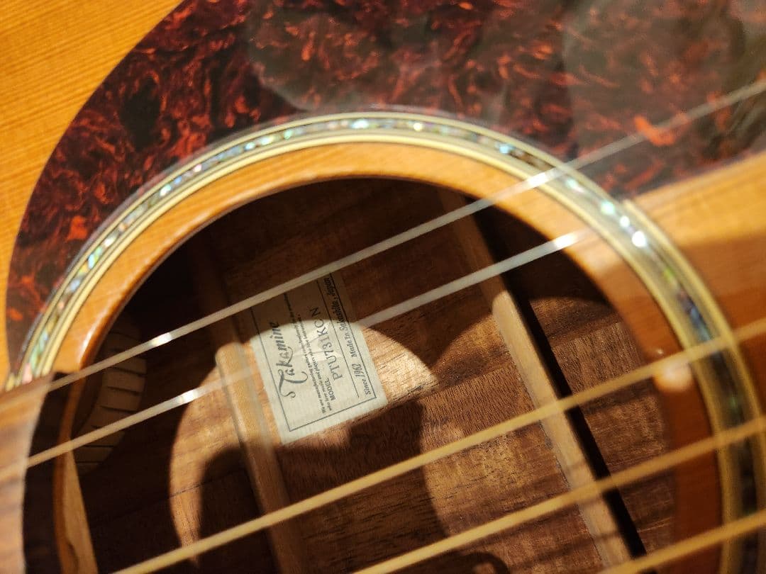 ギター Takamine PTU731KC N