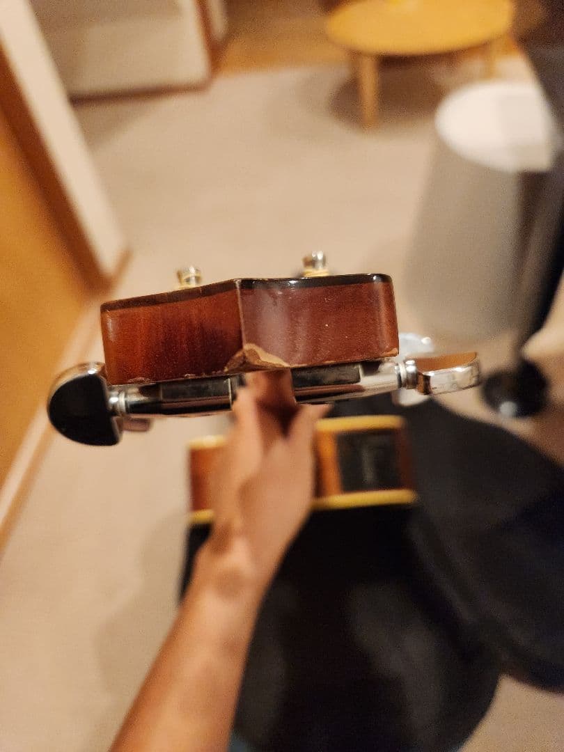 ギター Takamine PTU731KC N