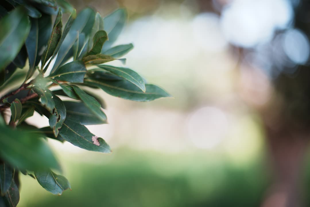 【美品】動作◎ SMC Takumar 50mm F1.4 オールドレンズ 21