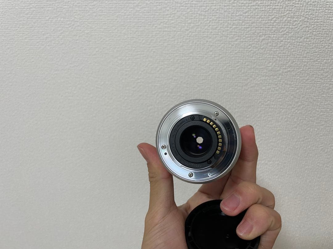 パナソニック ミラーレス一眼カメラ ルミックス GF10