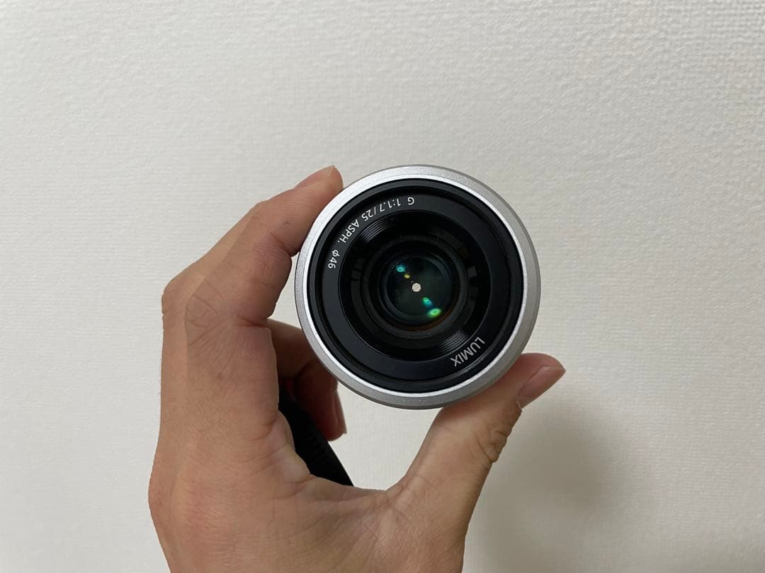 パナソニック ミラーレス一眼カメラ ルミックス GF10