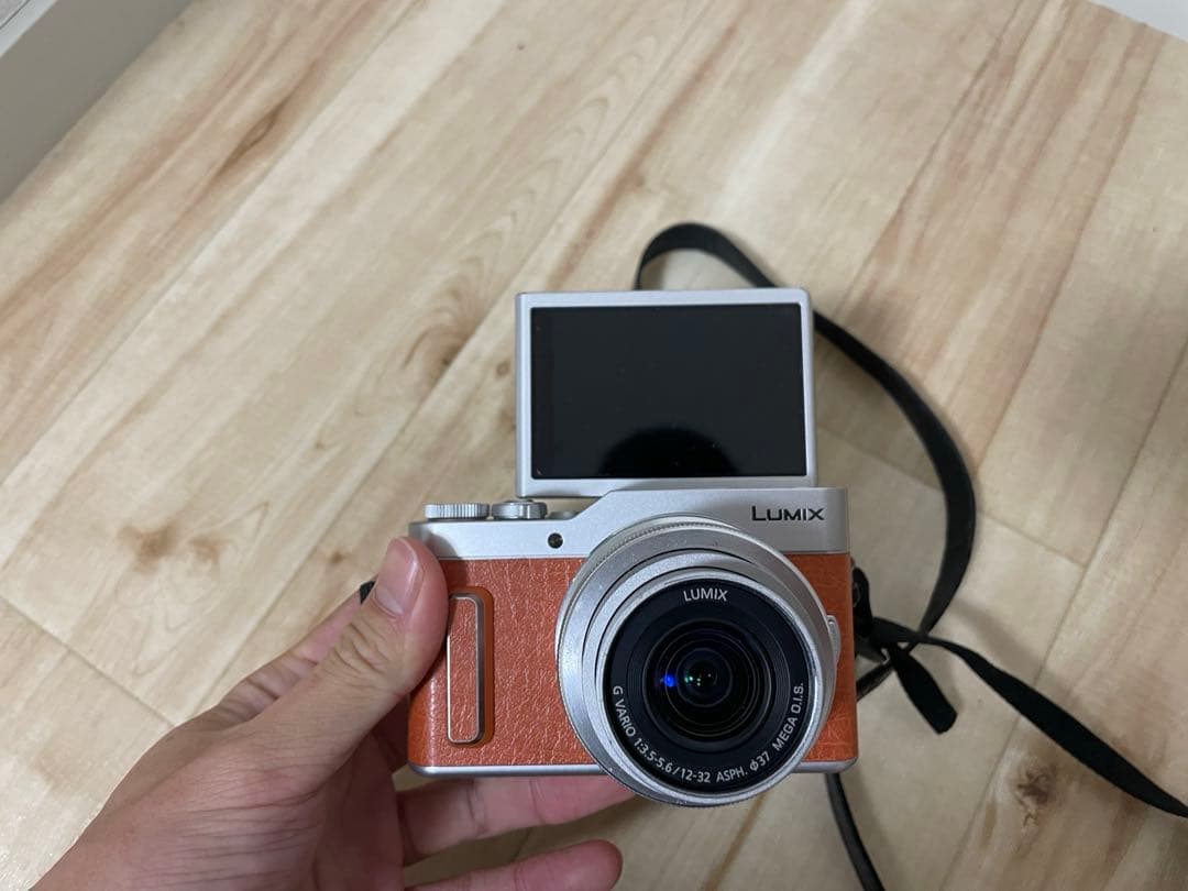 パナソニック ミラーレス一眼カメラ ルミックス GF10