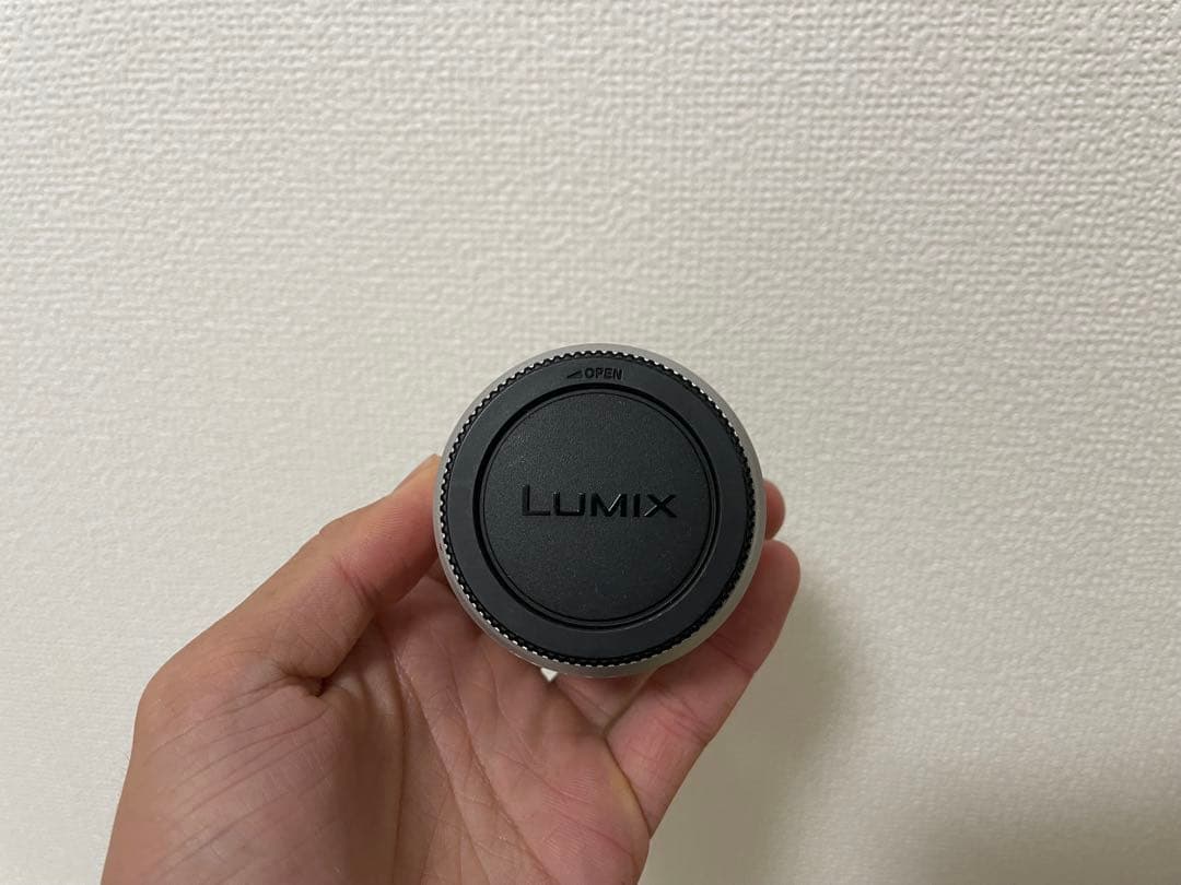 パナソニック ミラーレス一眼カメラ ルミックス GF10